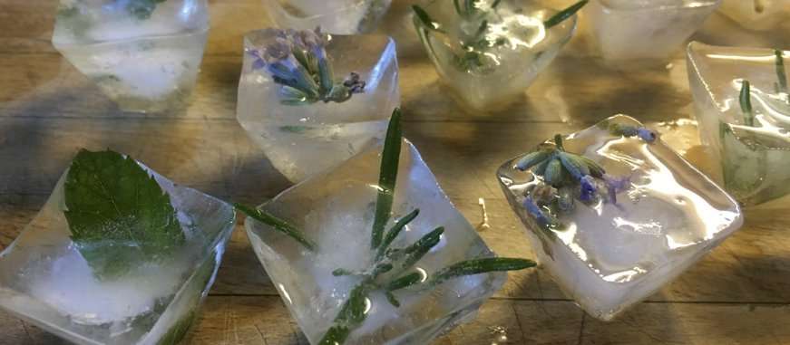 Cubitos de Hielo con Infusión de Salvia