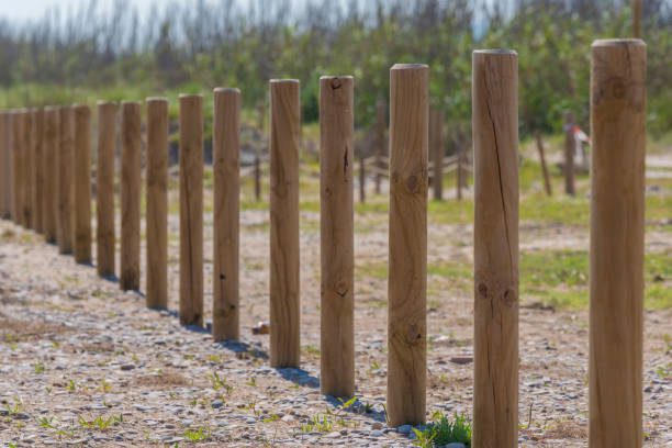 Estacas de Madera